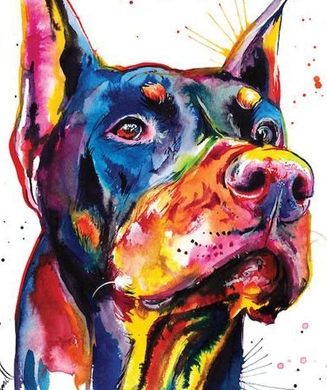 Dobermann Peinture par Numéros