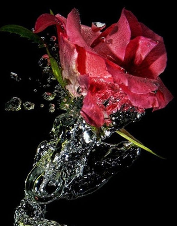 Eau Rose Peinture par Numéros