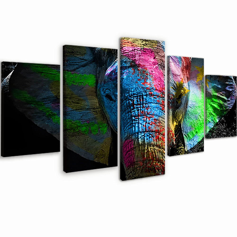Éléphant Coloré 5 Partie Peinture par Numéros