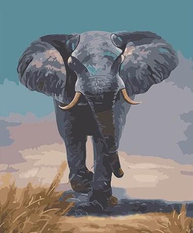 Éléphant Courant Peinture par Numéros