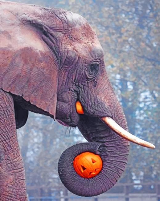 Éléphant et Citrouille d'Halloween Peinture par Numéros