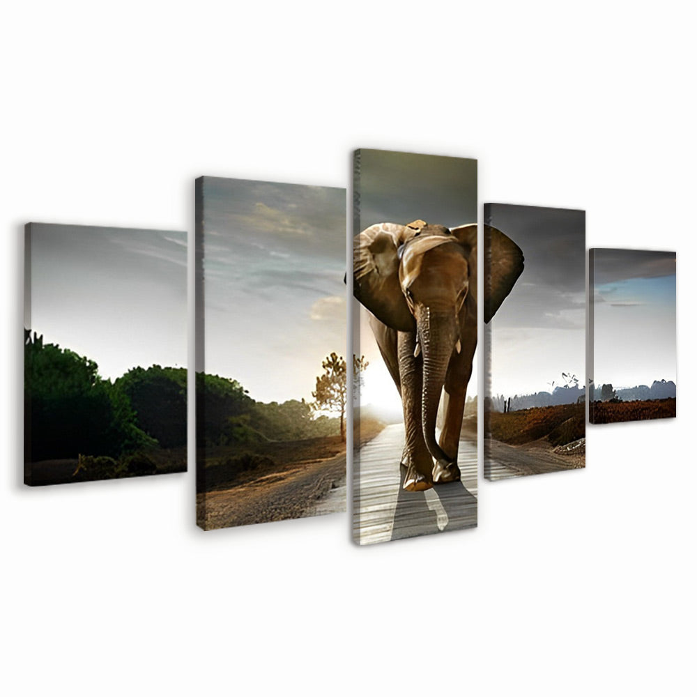 Éléphant Marchant 5 Partie Peinture par Numéros