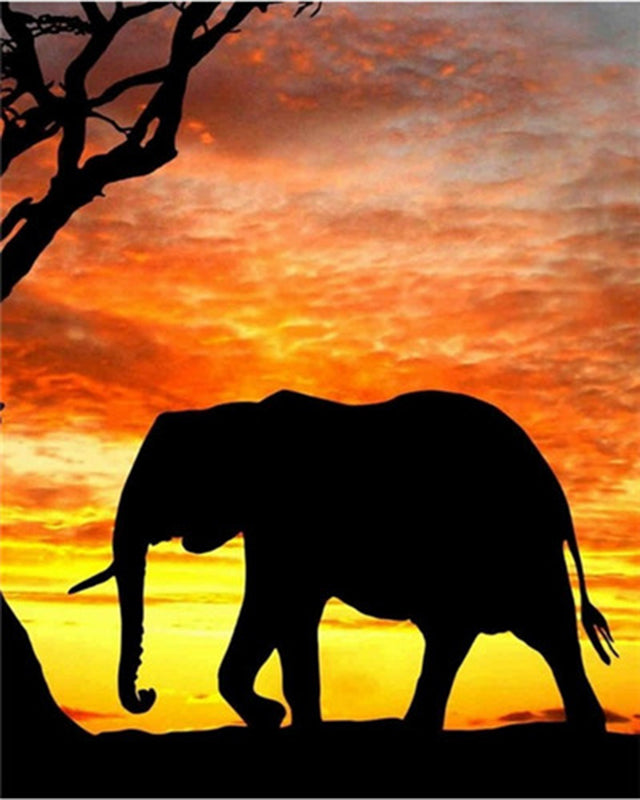 Éléphant sous le Soleil Couchant Peinture par Numéros