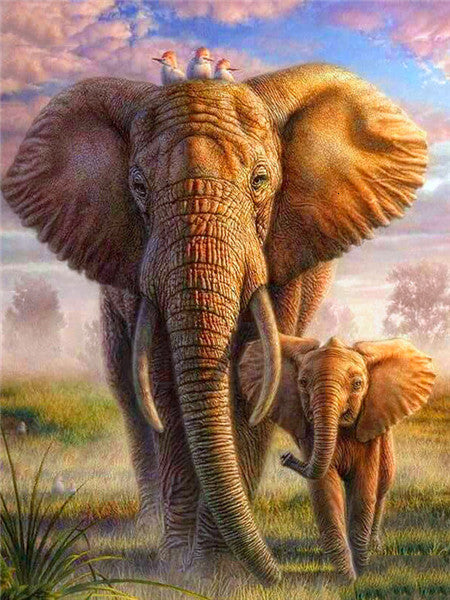 Éléphants et les Oiseaux Peinture par Numéros