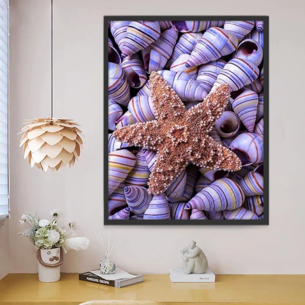 Étoile de Mer Reposant sur des Coquilles Rayées Violettes Peinture par Numéros