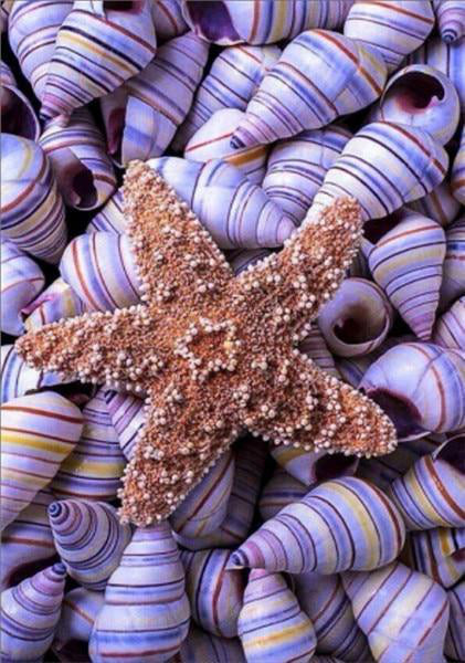 Étoile de Mer Reposant sur des Coquilles Rayées Violettes Peinture par Numéros