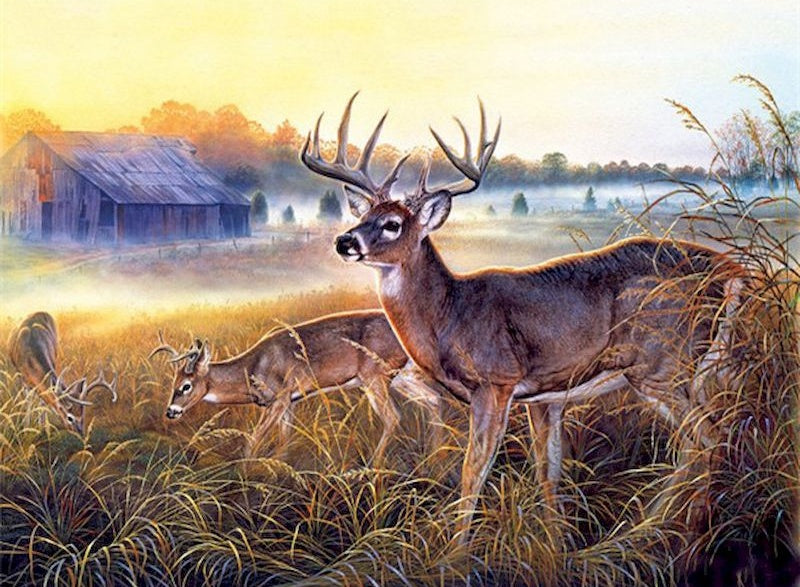 Famille de Cerfs Mangeant Herbes Peinture par Numéros