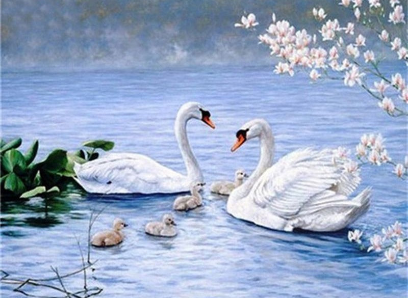 Famille de Cygnes Douce Peinture par Numéros