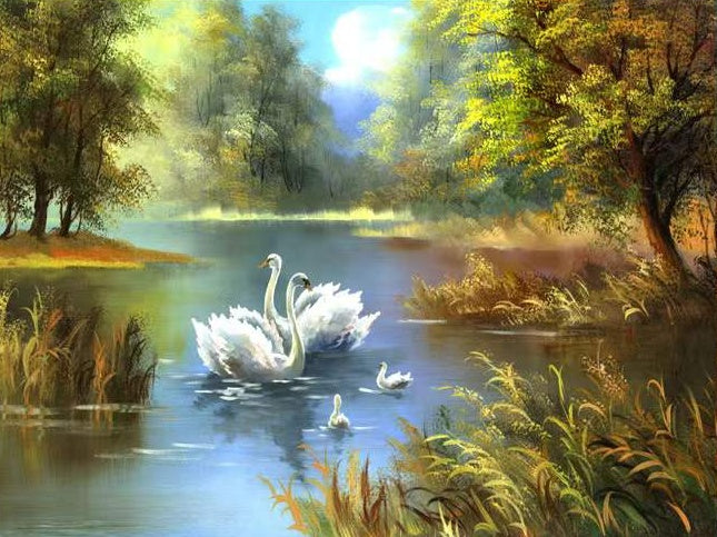 Famille de Cygnes Peinture par Numéros