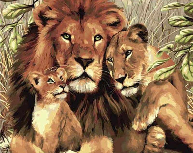 Famille de Trois Lions Peinture par Numéros