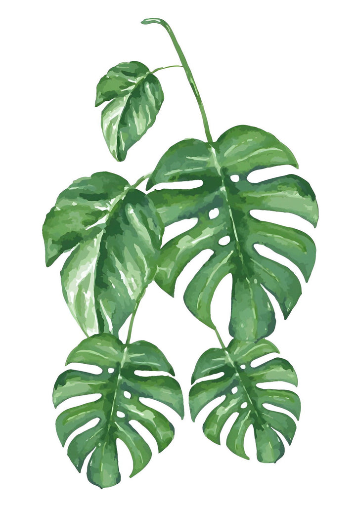 Faux Philodendron Vert Peinture par Numéros