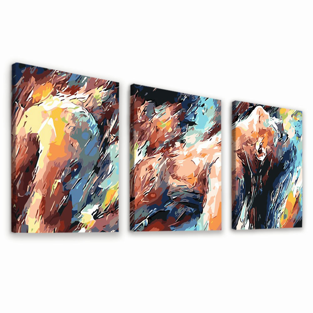 Femme Abstraite 3 Partie Peinture par Numéros