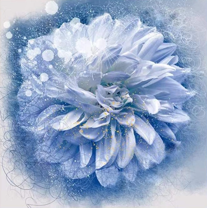 Fleur Blanche Chic Peinture par Numéros