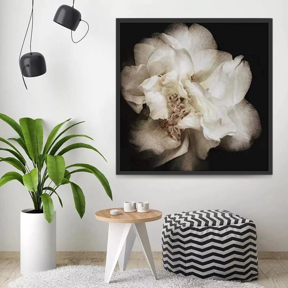 Fleur Blanche Magnifique Peinture par Numéros