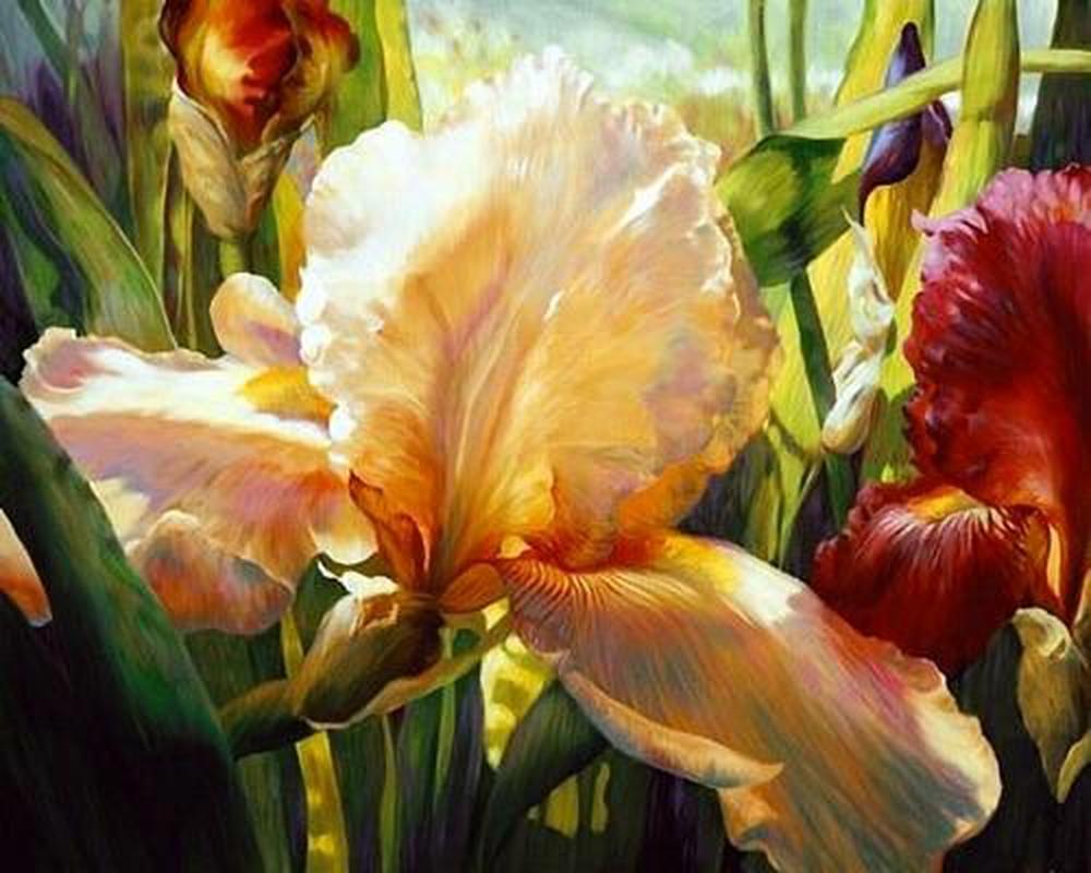 Fleur Papillon Peinture par Numéros