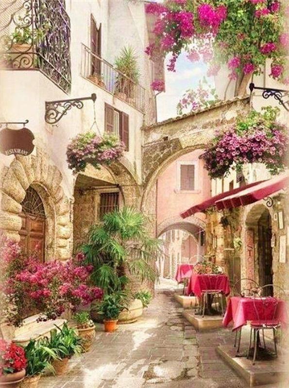 Fleurs Colorées dans La Ruelle Peinture par Numéros