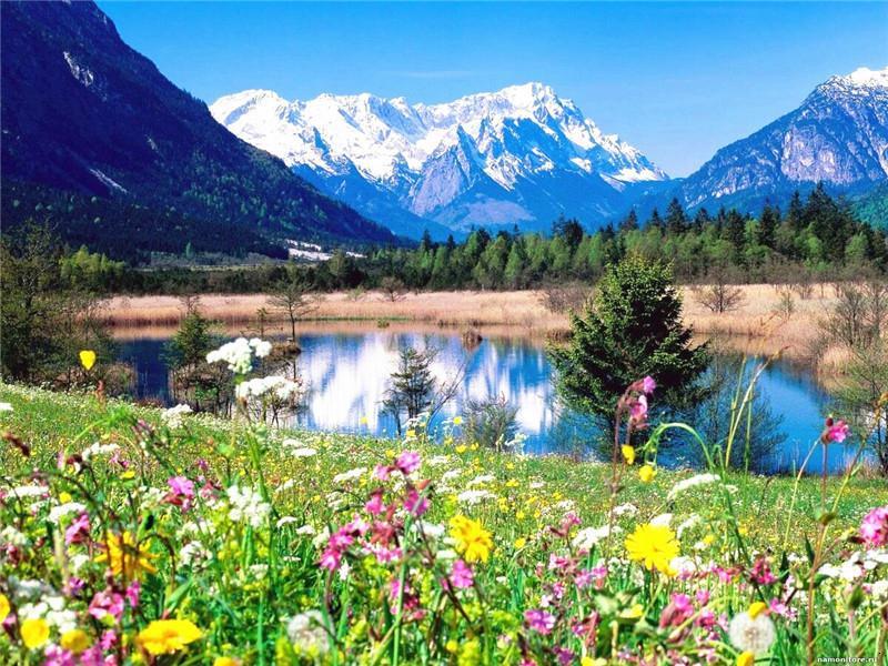 Fleurs et Montagnes Peinture par Numéros