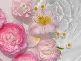 Kit Peinture Par Numéros Adulte - Toile Fleurs Avec Peintures Et Pinceaux - Activité DIY Relaxante - Déco Murale - 3