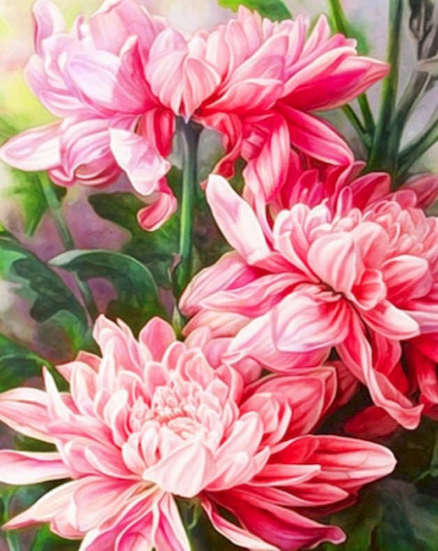 Fleurs Roses Vivantes Peinture par Numéros