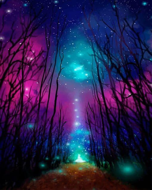 Forêt et Ciel étoilé Peinture par Numéros