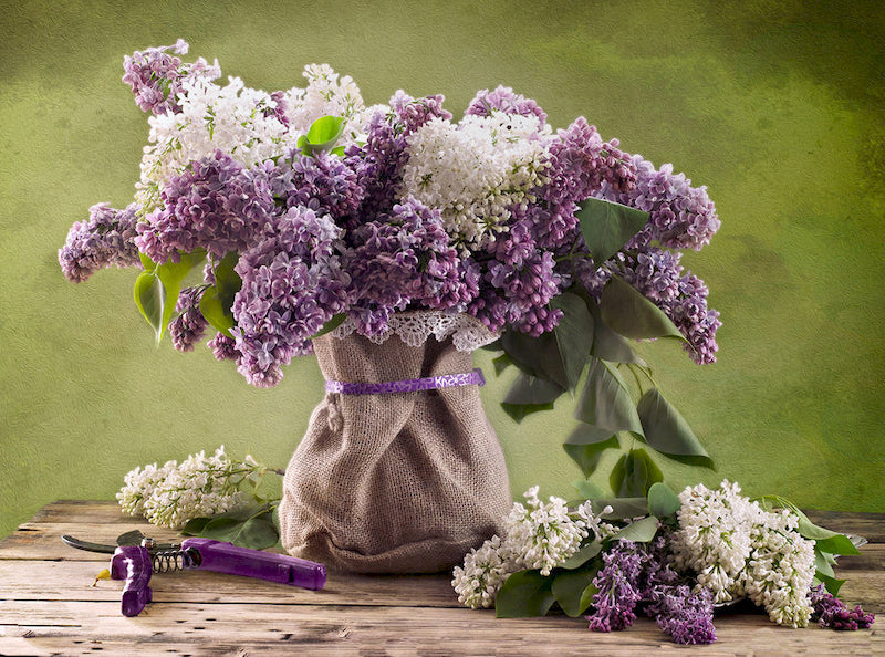 Gaine Fleur Peinture par Numéros