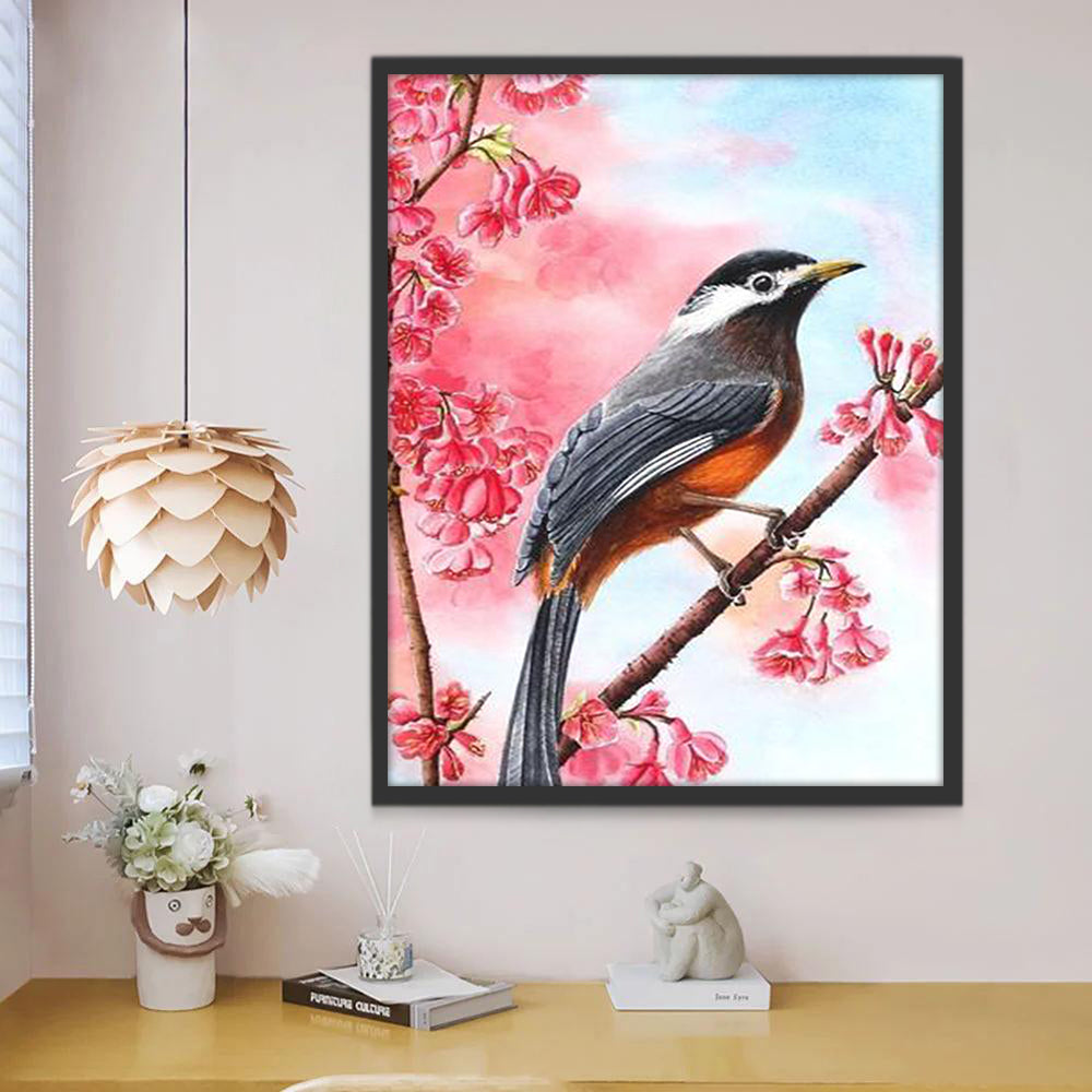 Garrulaxe Hoamy Oiseau Peinture par Numéros