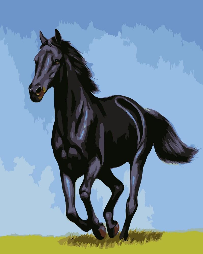 Gentil Cheval Noir Peinture par Numéros
