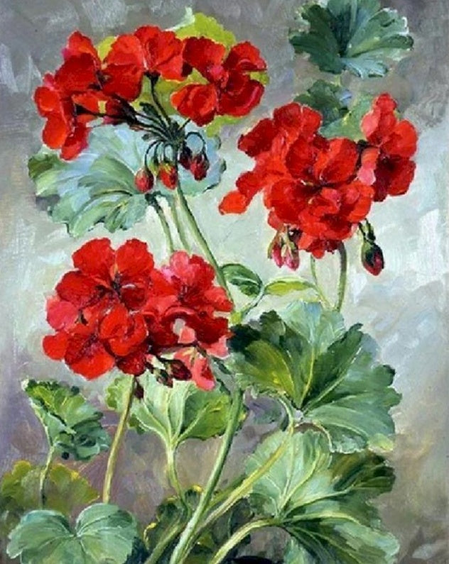 Géraniums Rouges Peinture par Numéros