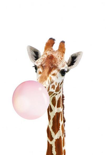 Girafe et Bulle Rose Peinture par Numéros