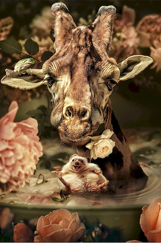 Girafe et Petit Hérisson Peinture par Numéros