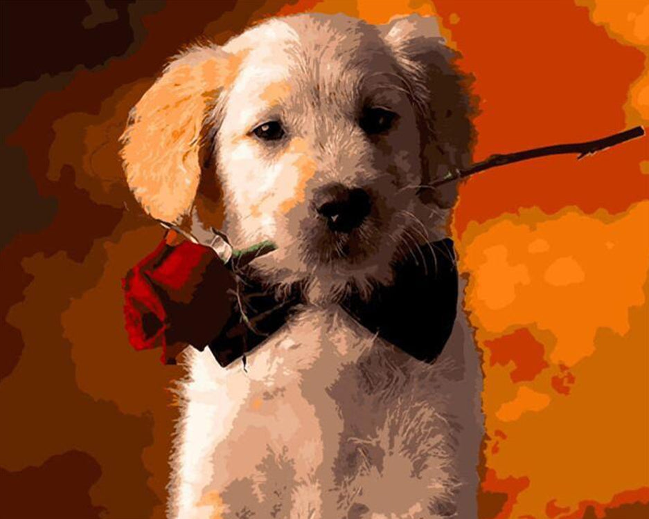Golden Retriever avec une Rose Rouge Peinture par Numéros