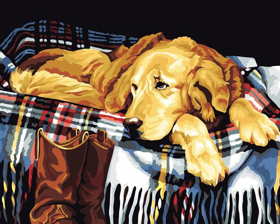 Golden Retriever dans le Lit Peinture par Numéros
