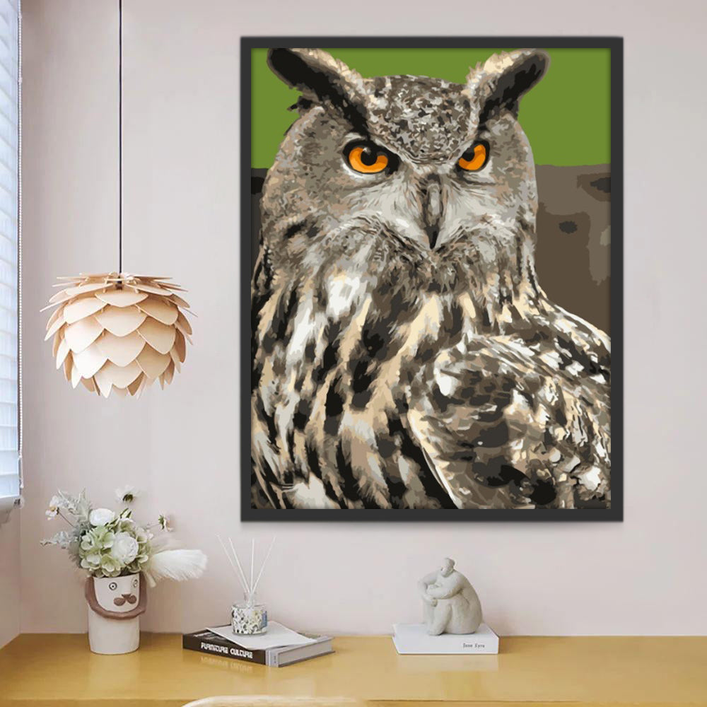 Grand Hibou Cool Peinture par Numéros