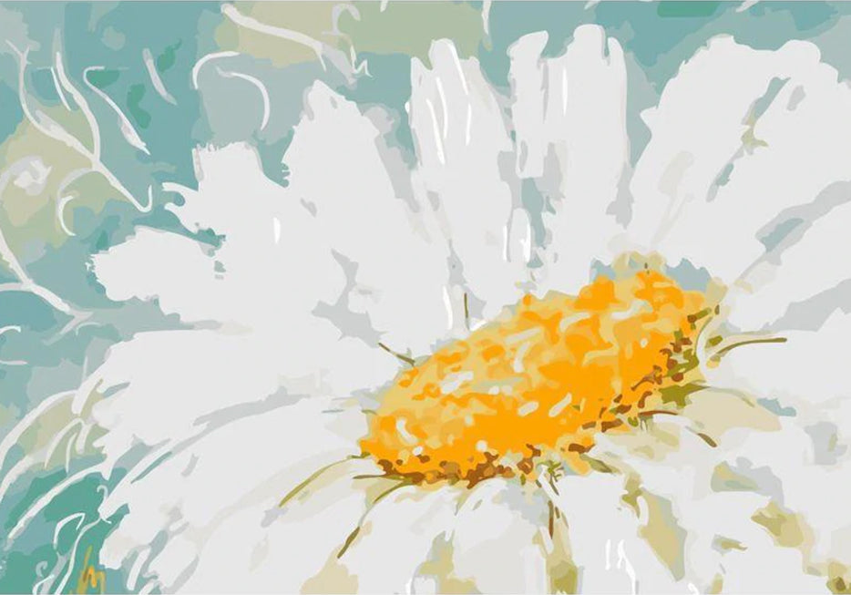Grande Marguerite Vivace Peinture par Numéros