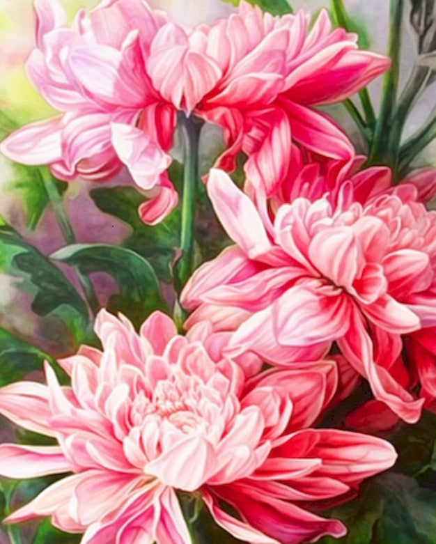 Grandes Fleurs Roses Peinture par Numéros