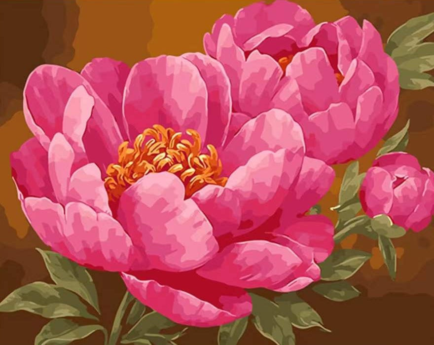 Grandes Pivoines Roses Fleur Peinture par Numéros