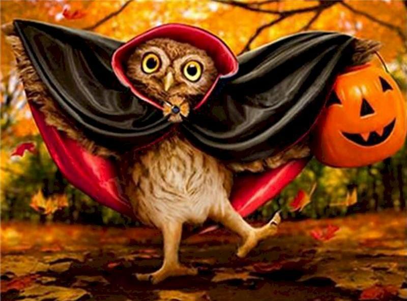 Halloween Petit Hibou Coquin Peinture par Numéros