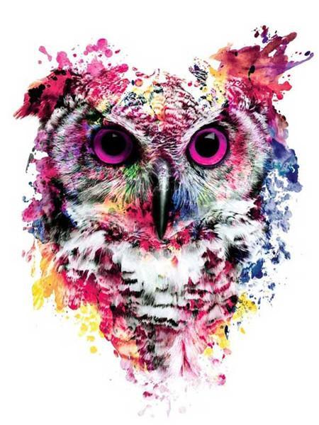 Hibou avec des Taches Colorées Peinture par Numéros