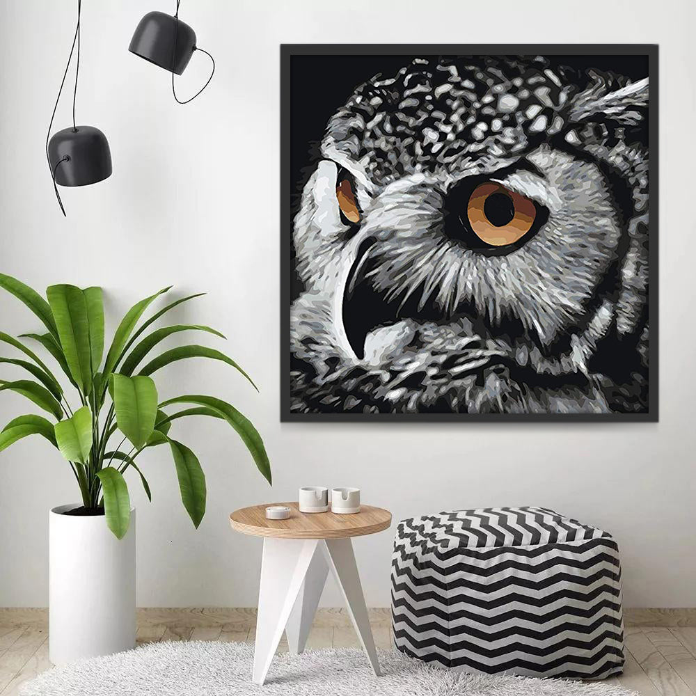 Hibou Blanc et Noir aux Yeux Oranges Peinture par Numéros