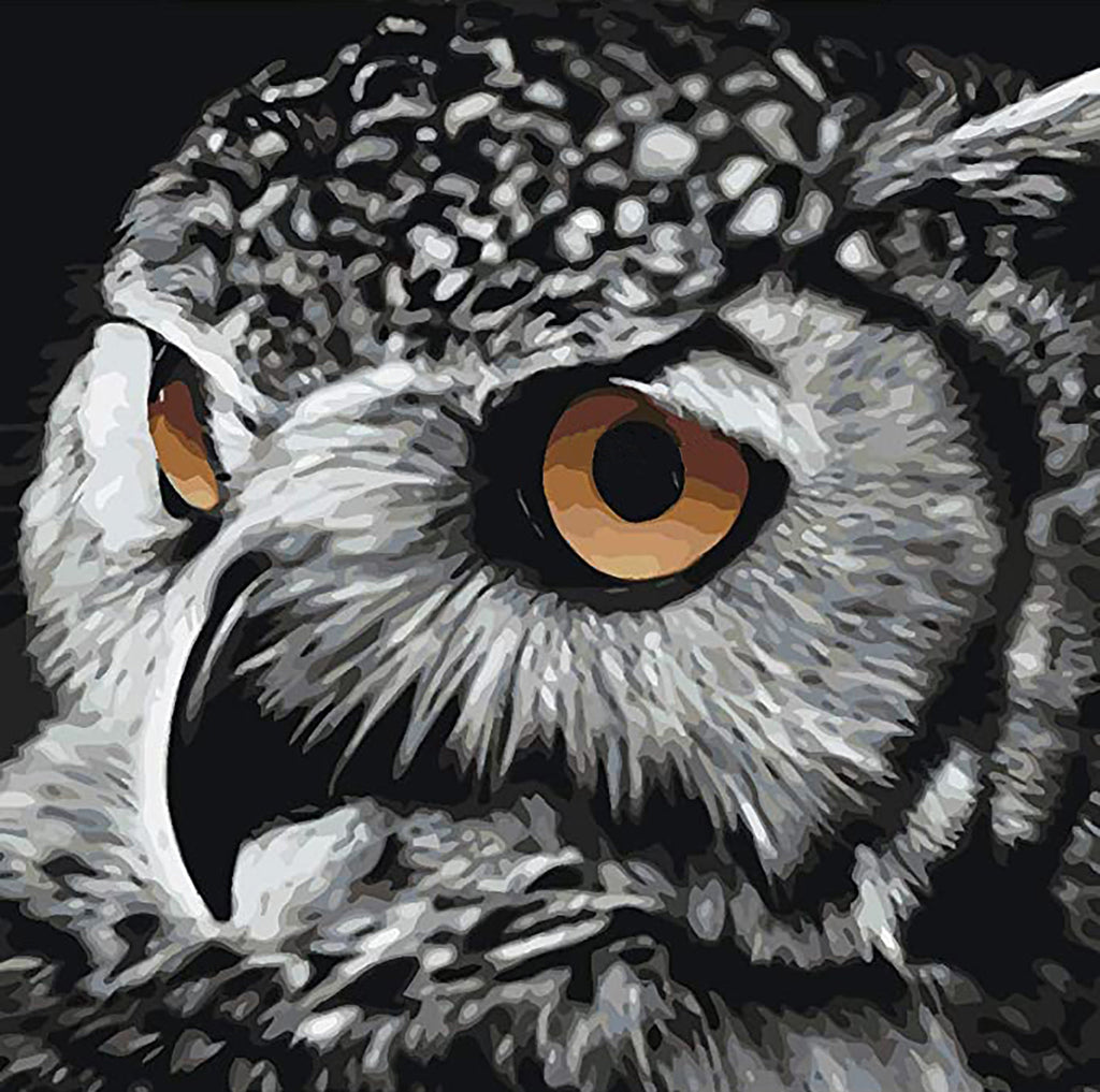 Hibou Blanc et Noir aux Yeux Oranges Peinture par Numéros