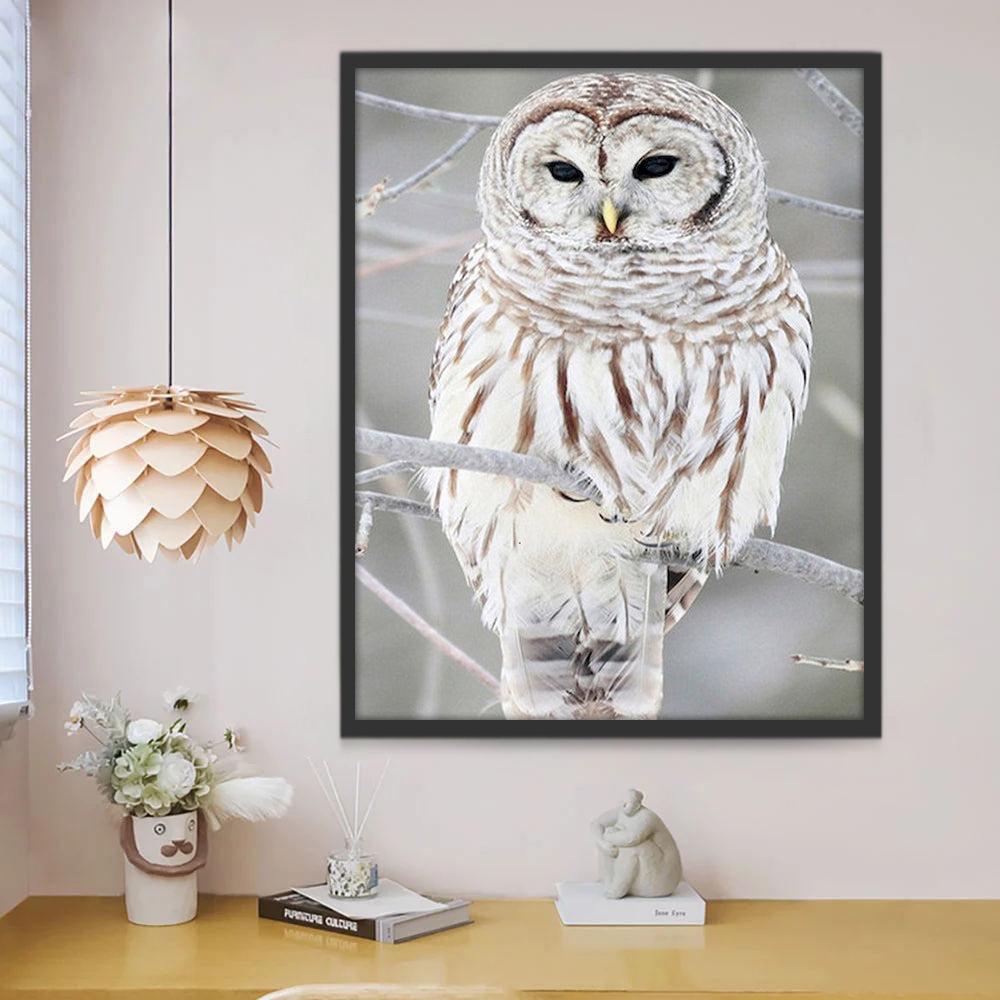 Hibou Blanc Peinture par Numéros