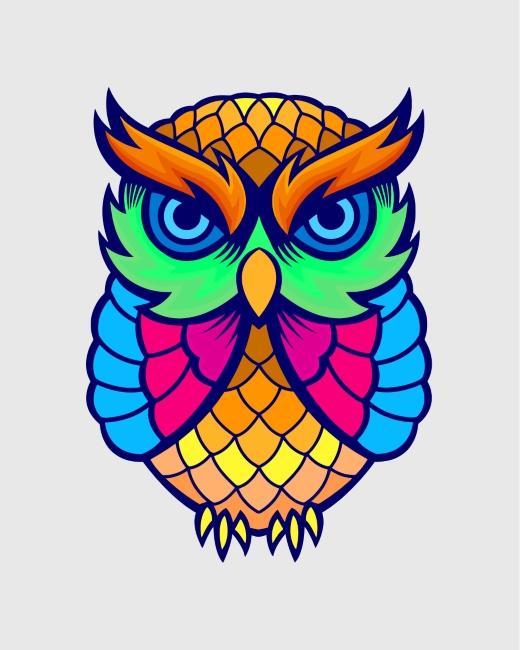 Hibou Coloré Cartoon Enfants Peinture par Numéros