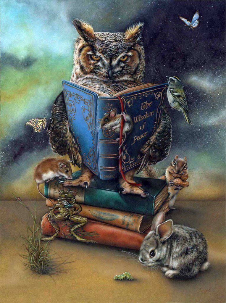 Hibou Cool et Livres Peinture par Numéros