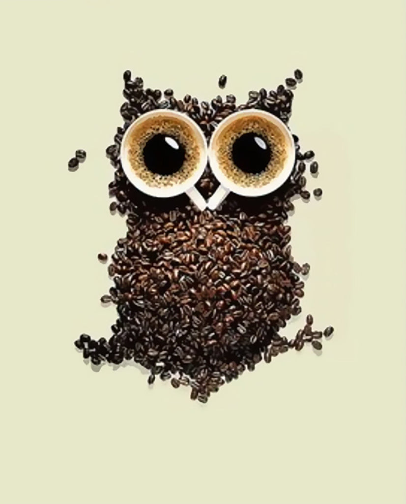 Hibou de Café Peinture par Numéros