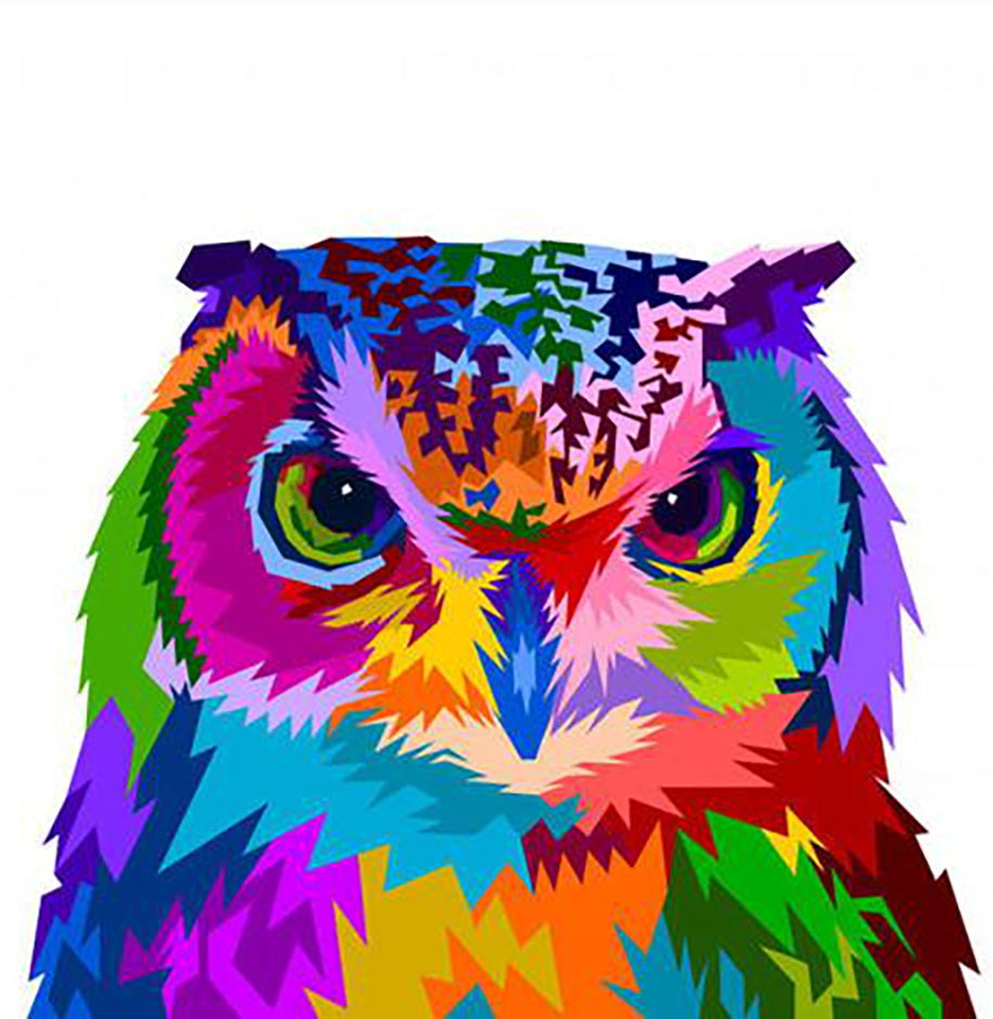 Hibou de Couleurs Variés Peinture par Numéros
