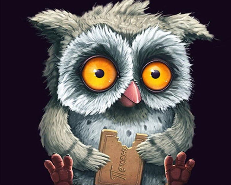 Hibou Mangeur de Chocolat Peinture par Numéros