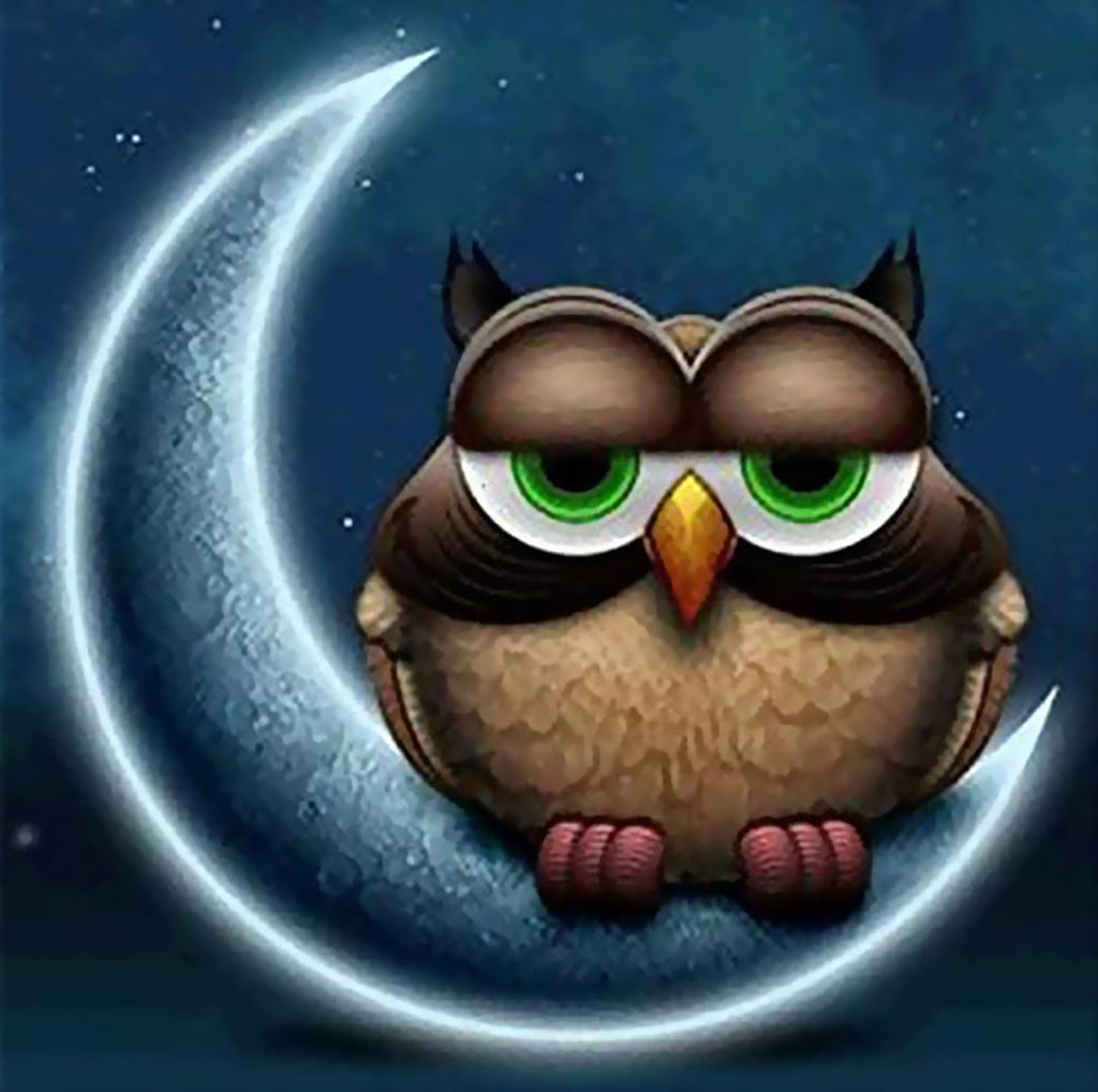 Hibou sur la Lune Peinture par Numéros