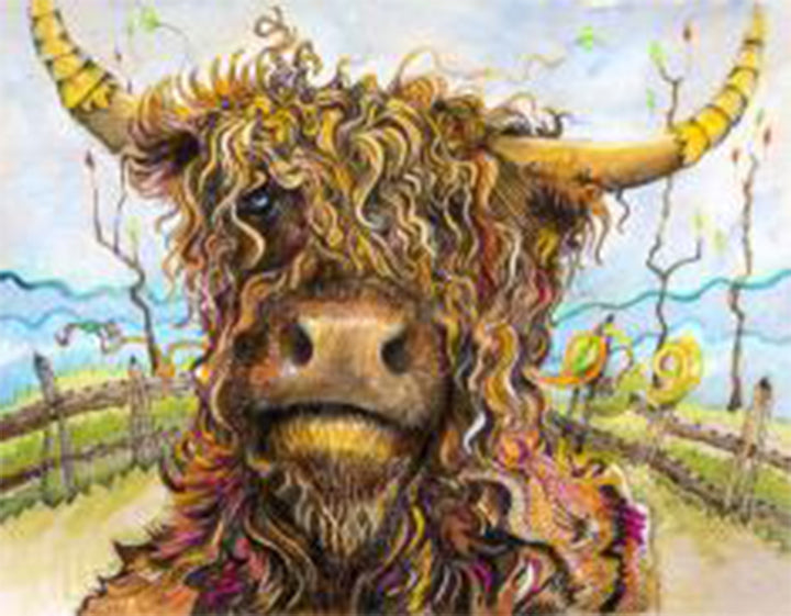 Highland Bouclée Peinture par Numéros