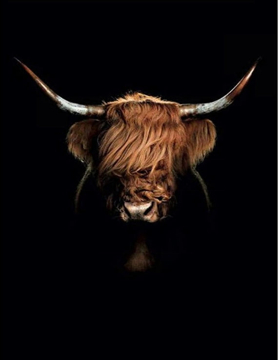 Highland Silencieuse Peinture par Numéros