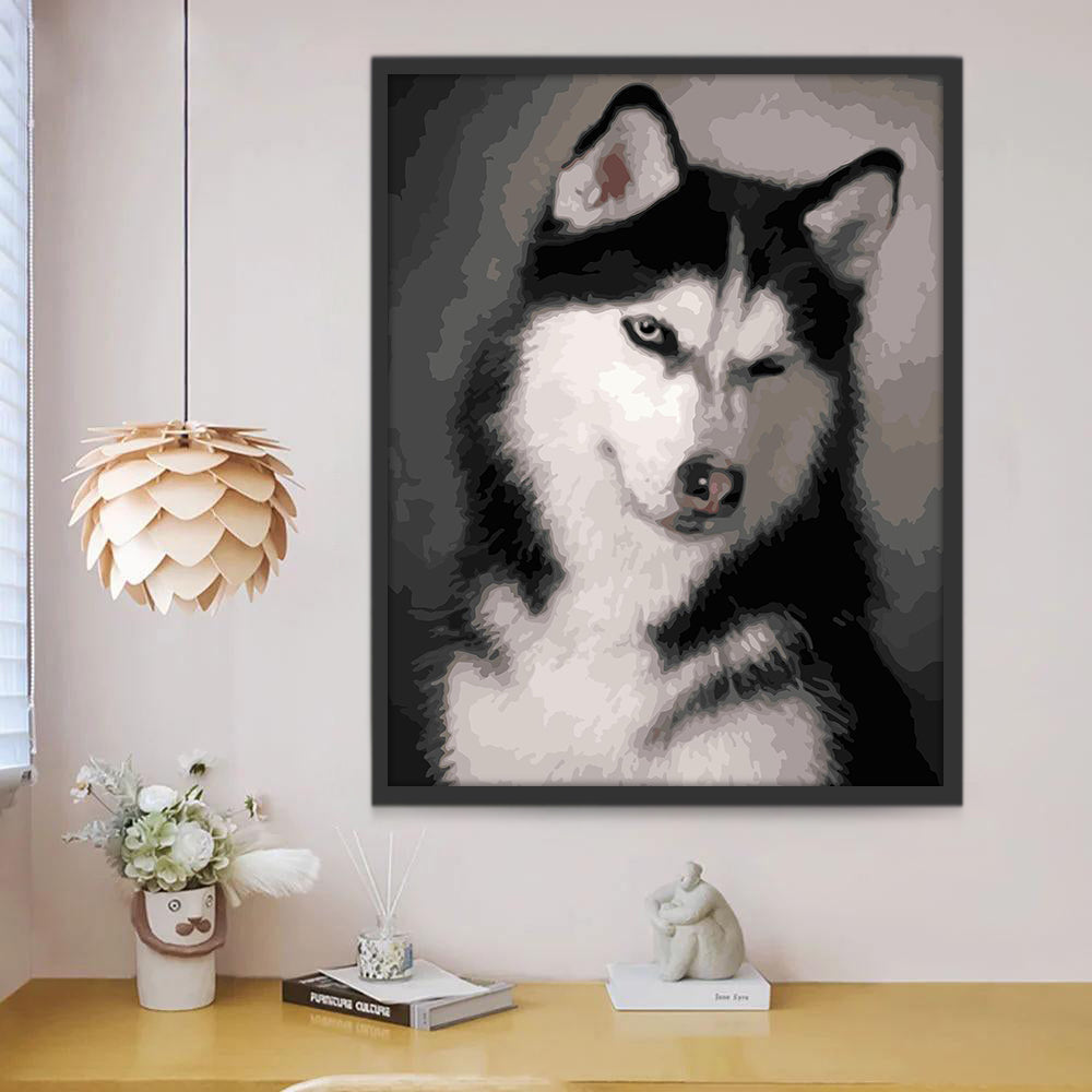 Huskie Finaud Peinture par Numéros